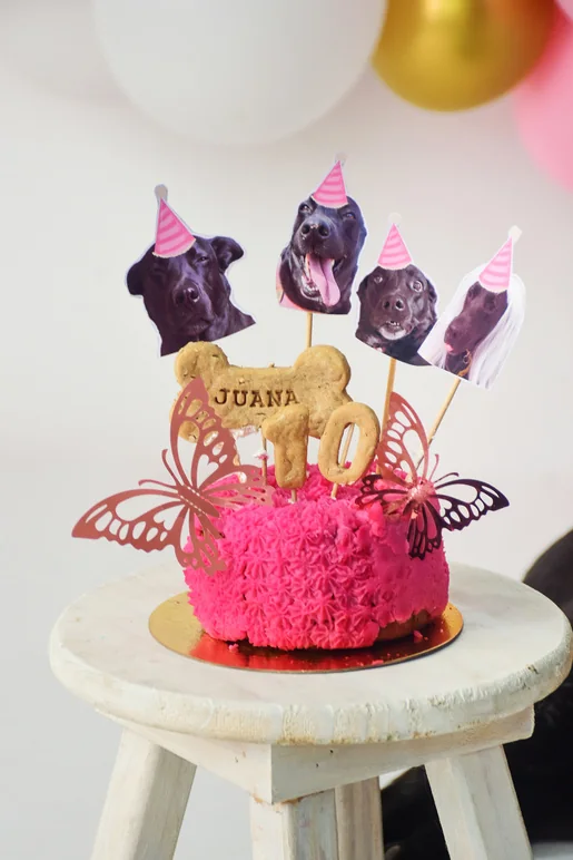 Detalle de la torta decorada con toppers para la sesión de mascotas
