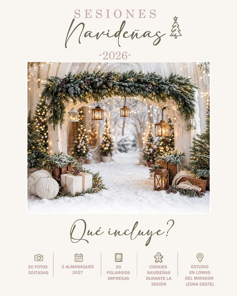 Afiche de sesiones navideñas con escenario de Navidad y detalle de lo incluido